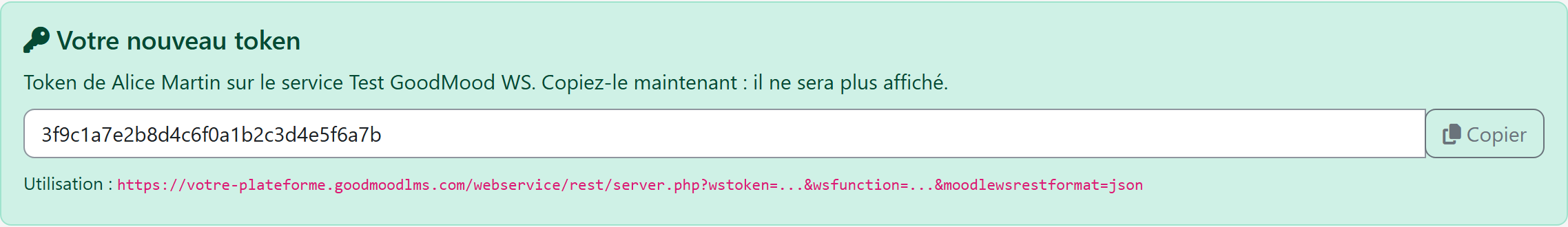 Le nouveau token est affiché une seule fois avec un bouton Copier et l URL d utilisation