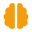 brain-solid